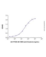 AB-16B5 (anti-Clusterin), CAS No.2411526-47-9 Ab177846-100μg Aladdin