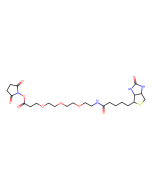 Biotin-PEG3-NHS ester, CAS No.1253286-56-4 B346583-25mg Aladdin