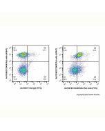 CD200/OX2 Rat mAb (FITC) Ab190189-10μg Aladdin