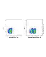 CD28 Mouse mAb Ab006726-10μg Aladdin