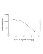 Recombinant Human KRAS (G12D) Protein rp192042-10μg Aladdin