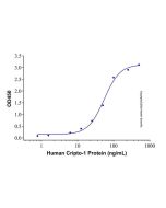 Recombinant Human Cripto-1 Protein rp144702-10μg Aladdin