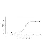 Recombinant Human Amphiregulin Protein rp142789-10μg Aladdin