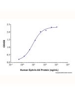 Recombinant Human EphA4 Protein rp183616-10μg Aladdin