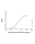 Recombinant Human GFR alpha-2/GFRA2 Protein rp146403-10μg Aladdin