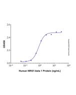 Recombinant Human NRG1-beta 1 Protein rp156330-10μg Aladdin