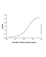 Recombinant Human OTUB2 Protein rp188262-10μg Aladdin