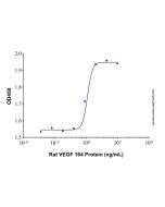 Recombinant Rat VEGF 164 Protein rp155249-10μg Aladdin
