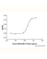 Recombinant Human MAdCAM-1 Protein rp181270-10μg Aladdin