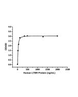 Recombinant Human LTBR Protein rp148424-10μg Aladdin
