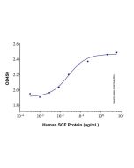 Recombinant Human SCF Protein rp156014-10μg Aladdin