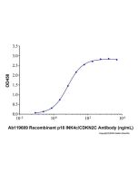 Recombinant Human p18 INK4c/CDKN2C Protein rp188348-10μg Aladdin