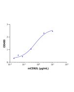 Recombinant Mouse L-Selectin/CD62L Protein rp153757-10μg Aladdin