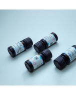 Qdot™ 545 Aladdin™ Amino(PEG) Quantum Dots, CAS No.Q638973 Q638973-250μl