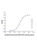 Recombinant Human GRP78/HSPA5 Protein rp214409-10μg Aladdin