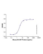 Recombinant Mouse M-CSF Protein rp154367-10μg Aladdin