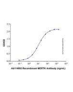 Recombinant Human Mer Protein rp183629-10μg Aladdin
