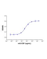 Recombinant Mouse G-CSF Protein rp154012-10μg Aladdin