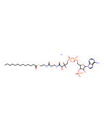 tridecanoyl Coenzyme A (ammonium salt), CAS No.1246304-38-0 T130761-5mg Aladdin