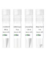 SuperStar miRNA First-Strand cDNA Synthesis Kit (by tailing A) CW2151M