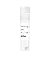 WinScript AD One Step RT-qPCR U⁺ Mix (ONE TUBE) CW3219S