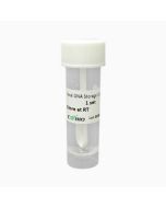 Fecal DNA Storage Tube CWX023S
