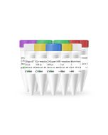 CWseq® RNA & DNA Library Co-Prep Kit for Illumina & MGI CW3095S