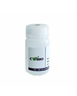 RNAstore CW0592S