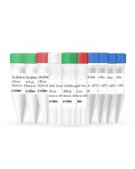 CWseq Universal DirectFast DNA Library Prep Kit (Illumina＆MGI) CW3048S