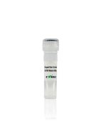 SuperStar Universal SYBR Master Mix CW3360M