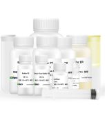 GoldHi EndoFree Plasmid Maxi Kit (Plus) CW2113M