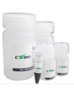 Magbead Free-Circulating DNA Maxi Kit CWX115S