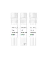 Phi29 DNA Polymerase CW2818M