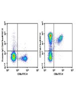 AF/LE Purified Anti-Mouse CD3e Antibody[500A2] (AN003420) elabscience