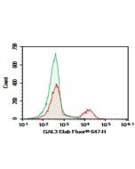 Purified Anti-Mouse/Human GAL3 Antibody[M3/38] (AN003440P) elabscience