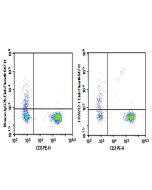 Purified Anti-Human TRAV12-1 Antibody[S511] (AN003730P) elabscience