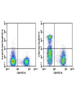 AF/LE Purified Anti-Mouse CD8a Antibody[YTS169.4] (AN004080) elabscience