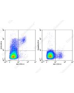 APC Anti-Mouse CD122 Antibody[TM-Beta 1] (AN00418E) elabscience