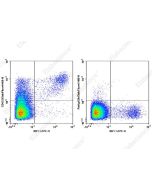 Elab Fluor ® 488 Anti-Mouse CD122 Antibody[TM-Beta 1] (AN00418UL) elabscience