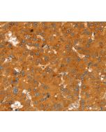RGS4 Polyclonal Antibody (E-AB-15342) elabscience