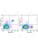 FITC Anti-Mouse CD161/NK1.1 Antibody[PK136] (E-AB-F0987C) elabscience