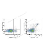 PE/Cyanine7 Anti-Mouse CD161/NK1.1 Antibody[PK136] (E-AB-F0987H) elabscience