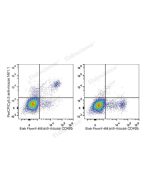 PerCP/Cyanine5.5 Anti-Mouse CD161/NK1.1 Antibody[PK136] (E-AB-F0987J) elabscience