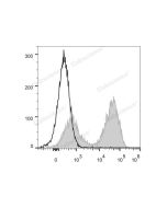 PerCP/Cyanine5.5 Anti-Mouse MHC II (I-A/I-E) Antibody[M5/114] (E-AB-F0990J) elabscience
