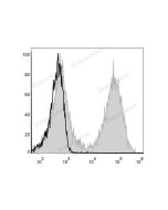 FITC Anti-Mouse MHC II (I-A/I-E) Antibody[M5/114] (E-AB-F0990UC) elabscience