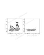 APC Anti-Mouse CD11c Antibody[N418] (E-AB-F0991E) elabscience