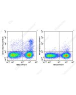 Elab Fluor ® 700 Anti-Mouse CD11c Antibody[N418] (E-AB-F0991UM1) elabscience