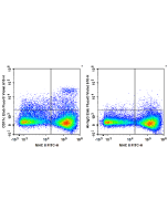 Elab Fluor ® Violet 610 Anti-Mouse CD11c Antibody[N418] (E-AB-F0991UT) elabscience