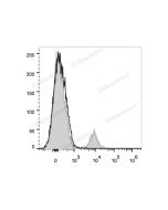 PE/Cyanine7 Anti-Human/Monkey CD19 Antibody[CB19] (E-AB-F1004H) elabscience