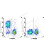 PE/Elab Fluor ® 594 Anti-Mouse CD3 Antibody[17A2] (E-AB-F1013P) elabscience